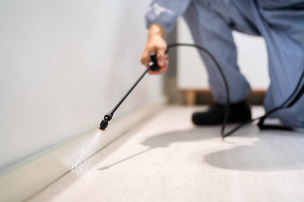Professional exterminator conducting IPM assessment in Gaithersburg