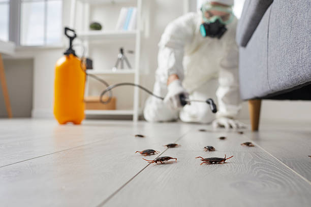 Commercial Kitchen Cockroach Control in Gaithersburg